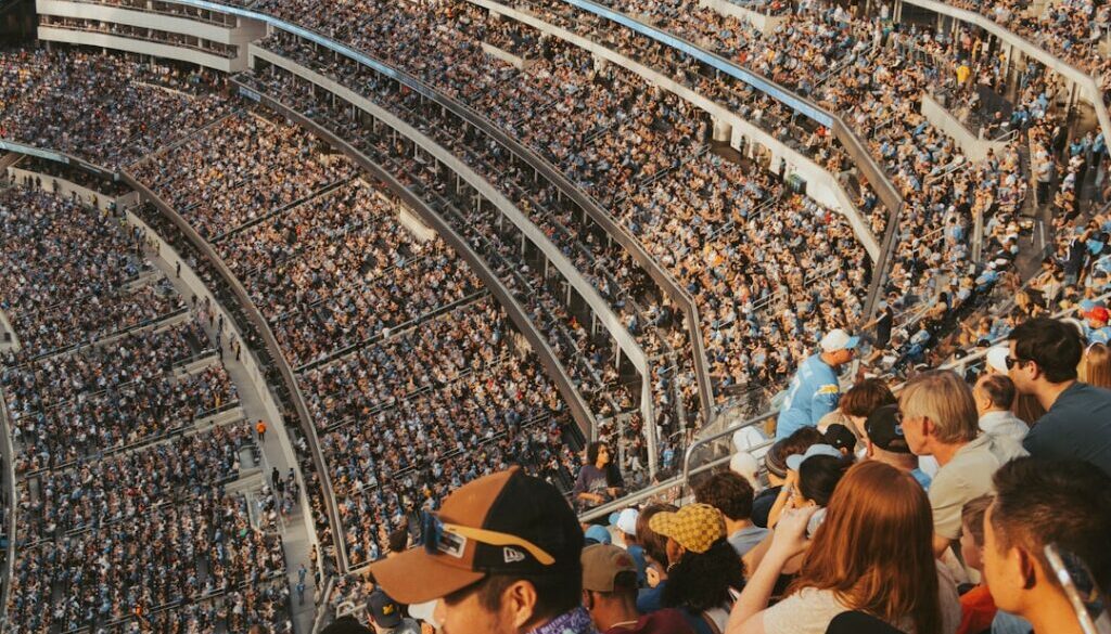 Jak kupić bilet na mecz Stali Ostrów online – krok po kroku