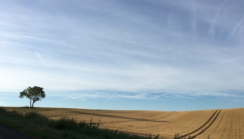 Jak wygląda rewolucja kadrowa w Stali Ostrów – analiza ostatnich transferów