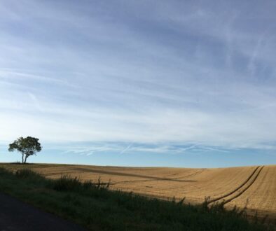 Jak wygląda rewolucja kadrowa w Stali Ostrów – analiza ostatnich transferów