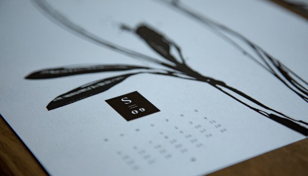 Jak powstaje terminarz meczów Stali Ostrów – kulisy harmonogramu rozgrywek